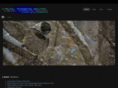 visualimagingstudio.com