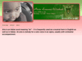 ariawinbush.com