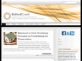 bufordcreek.com