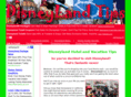 disneylandtips.com