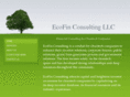 ecofinconsulting.com