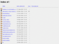 netexperience-internet.com