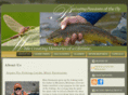 aspen-fly-fishing-colorado-fly-fishing-guide-service.com