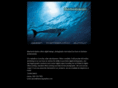 bluesungraphics.com