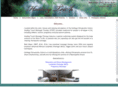 healingtouchrmt.com