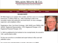 municipal-bond-expert-witness.com