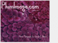 plumimage.com
