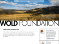 woldfoundations.com