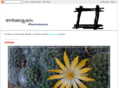nerkazhchakal.com