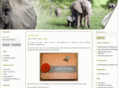 ofeeling.com