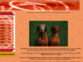 wildfirevizslas.com