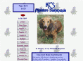 kcsdoxies.com