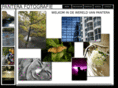 panterafoto.nl