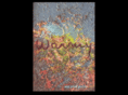 warmy.com.ar
