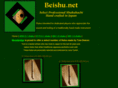 beishu.net