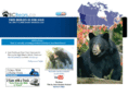 bcbears.ca