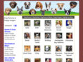 dogpictures4u.com