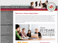 gammasigmaalpha.org