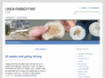 lindarabadifair.com