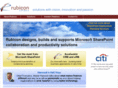 rubiconsoftware.com