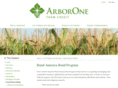 ruralamericacapitalgroup.com