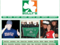 sullyirish.com