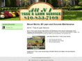 alln1treeandlawnservice.com