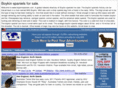 boykinspaniels.com