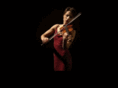 dzgviolin.com