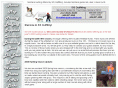 montana-hunts.com