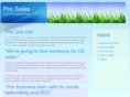 professionalsalesservices.com