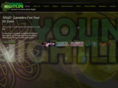 youngnightlife.com