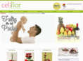 floristeriaceliflor.com