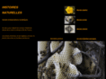 histoiresnaturelles.net