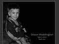 shaunwaddington.com