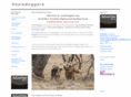 australianhoghunting.com