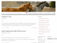 northtexashorses.com