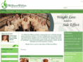 wellnesswithinweightloss.com