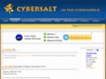 cybersaltshaker.org