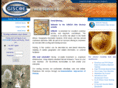 giscoews.com