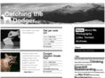 maxerwin.com