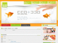cco-design.com