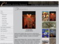 creativeartistsnetwork.net