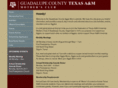 guadalupecountyaggiemoms.org