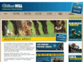 cheltenhamfestivalpreview.info