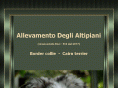 altipianikennel.it