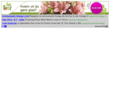 persillepigen.com