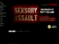 sensoryassault.co.uk