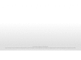 ffsicurezza.com