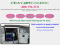 steamcarpetcleaning.net